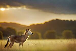 en rådjur står i en fält på solnedgång. ai-genererad foto