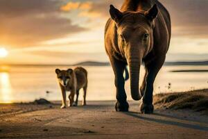 en lejon och ett elefant promenad längs de strand på solnedgång. ai-genererad foto