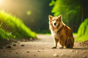 en hund Sammanträde på de väg i de mitten av en skog. ai-genererad foto