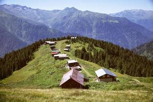 kalkon, rize, pokut platå, naturlandskap foto