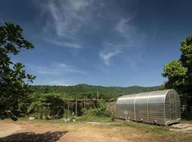 modernt kryddtorkande växthusrum i Kampot peppargård i Kambodja foto