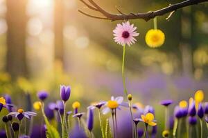 Foto tapet de Sol, blommor, vår, de skog, de Sol, blommor, de skog. ai-genererad