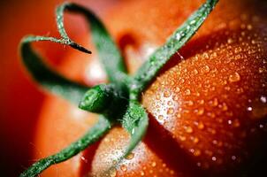 färsk tomater makro. foto