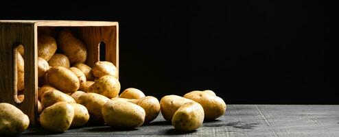färsk potatisar. på svart bakgrund. foto
