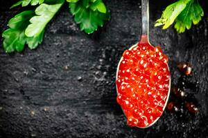 en sked av röd kaviar med persilja. foto
