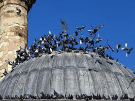 islam religion moskéarkitektur i Turkiet foto