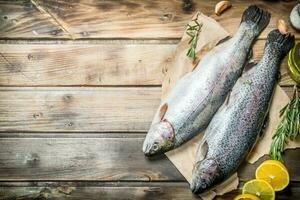 rå hav fisk lax på gammal papper med citron- skivor och doftande rosmarin. foto