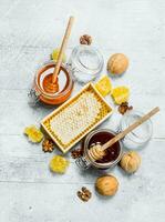 de räckvidd av typer av naturlig honung. foto