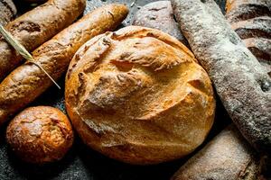 färsk bröd tillverkad från råg och vete mjöl. foto