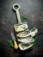 skaldjur. rå öppnad ostron på en skärande styrelse. foto