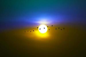 solnedgång på kvällshimlen och fåglar som flyger foto