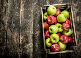 låda med färsk röd och grön äpplen. foto