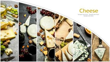 mat collage av ost . foto