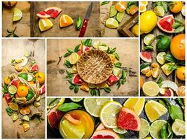 mat collage av skiva citrus- frukt . foto