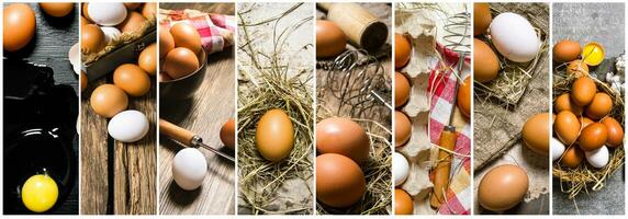 mat collage av kyckling ägg . foto