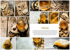 mat collage av honung. foto
