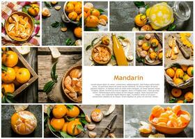 mat collage av färsk mandarin . foto