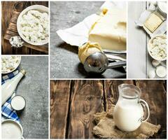 mat collage av mejeri Produkter . foto