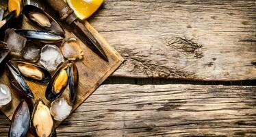 musslor med citron- och is på en trä- styrelse. foto