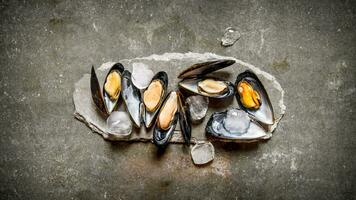 musslor med is på en sten stå. på sten tabell. foto