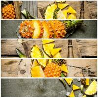 mat collage av färsk ananas. foto