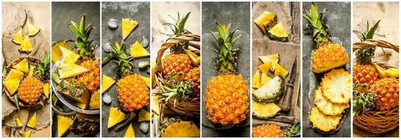 mat collage av färsk ananas. foto