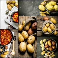 mat collage av färsk potatis . foto