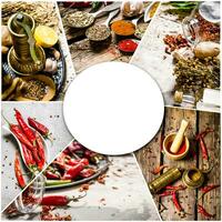 mat collage av ört och krydda. foto