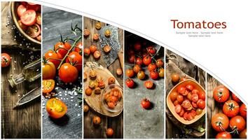 mat collage av färsk tomat. foto