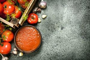 tomat sås med kryddor och vitlök i en skål. foto