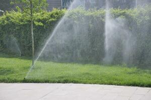 automatisk vattning gräs, trädgård gräsmatta sprinkler i handling. foto