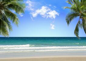 handflatan träd på tropisk strand med blå himmel och vit moln bakgrund. kopia Plats av sommar semester och företag resa begrepp design foto