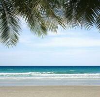 tropisk strand och sand med kokos handflatan löv för sommar bakgrund design foto