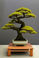 skön bonsai träd på en vas på topp av trä- pall i främre av grå vägg foto