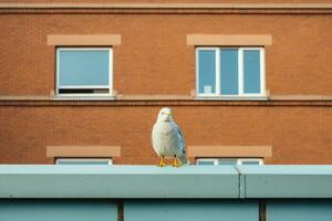 en vit fågel stående på en avsats i främre av en byggnad generativ ai foto