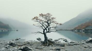 en ensam träd står i de mitten av en dimmig sjö generativ ai foto