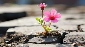 en rosa blomma är växande ut av en spricka i de jord generativ ai foto