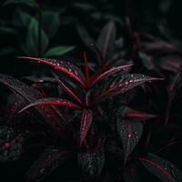 en växt med röd och svart löv i de mörk generativ ai foto