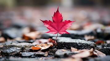 en röd lönn blad sitter på topp av en lugg av fallen löv generativ ai foto
