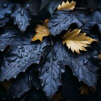 svart och gul löv med vatten droppar på dem generativ ai foto