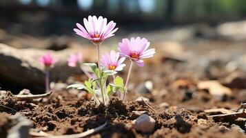 två rosa blommor växande ut av de jord i de smuts generativ ai foto