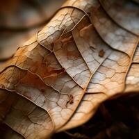 en stänga upp se av en brun blad generativ ai foto