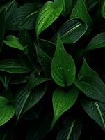 en stor grupp av grön löv med vatten droppar generativ ai foto