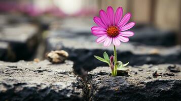 en rosa blomma är växande ut av en spricka i de jord generativ ai foto
