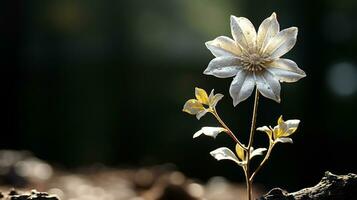 en enda vit blomma är växande ut av de jord generativ ai foto