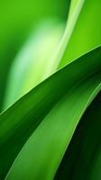 abstrakt grön blad bakgrund generativ ai foto