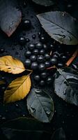 löv och bär på en svart bakgrund med vatten droppar generativ ai foto