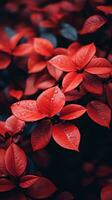 röd löv på en buske med vatten droppar på dem generativ ai foto