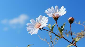 två vit blommor mot en blå himmel generativ ai foto