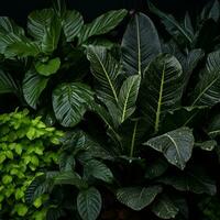olika typer av tropisk växter på en svart bakgrund generativ ai foto